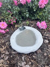 Vogeltränke Mit Bronze