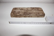 Treibholz Brett Holzwurzel