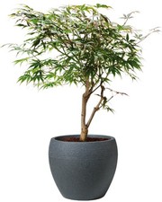 Scheurich Blumentopf Lineo Rillenoptik Verschiedene Farben und Größen Pflanztopf