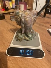 Elefant aus Ozeanjaspis /