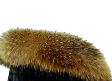  98 Natur Waschbär Kragen Pelzkragen Pelz Fell Echtpelz Raccoon