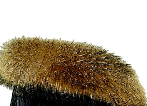 Natur waschbär kragen - waschbär,