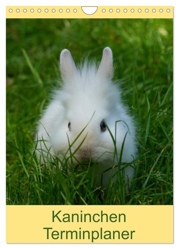 Kaninchen terminplaner - kaninchen,