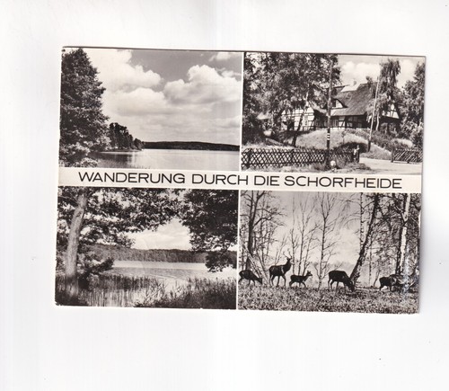 F474 ansichtskarte ak - f474),