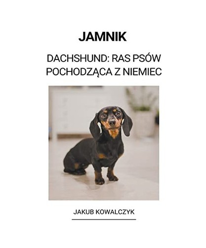 Jamnik dachshund ras psów - ras,