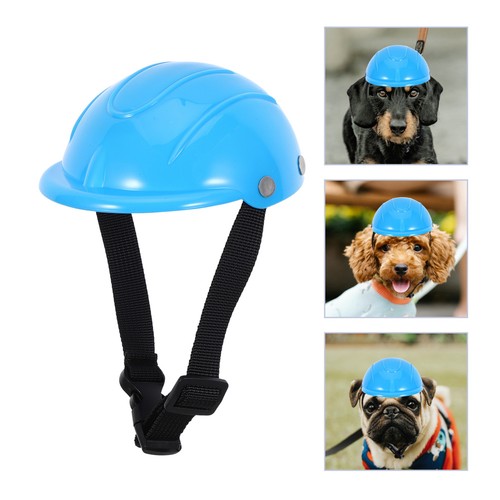 Pet safety small - pet, dog