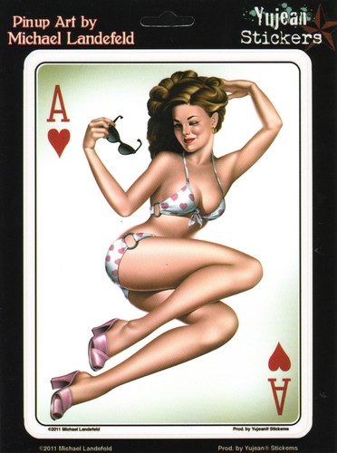 Aufkleber sticker modell pin - modell,