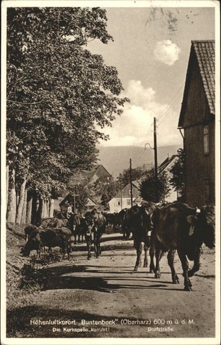 Buntenbock - ,