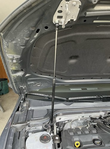 Golf gas strut lift - vw,