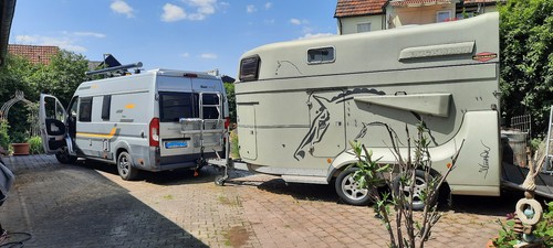 Böckmann pferdeanhänger - böckmann,