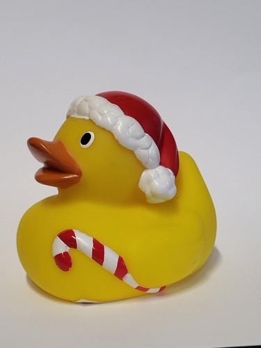 Ente badeente quietschente - ente,
