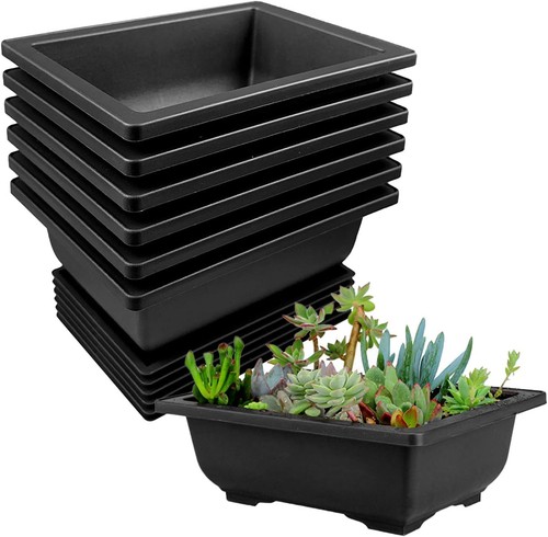 Stück bonsai schale - 6,