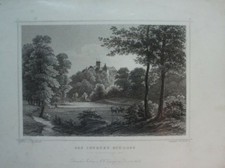 L.Rohbock E.Höfer Das Iburger Schloss Thiergarten Stahlstich Original G-6163