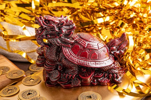 Drachenschildkröte rot - -,