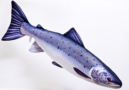 Fisch kissen angler geschenk - kissen,