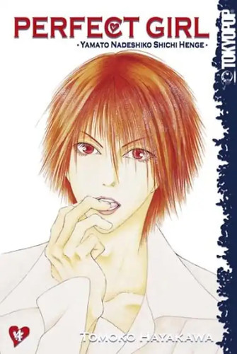 Perfect girl yamato nadeshiko - girl.,