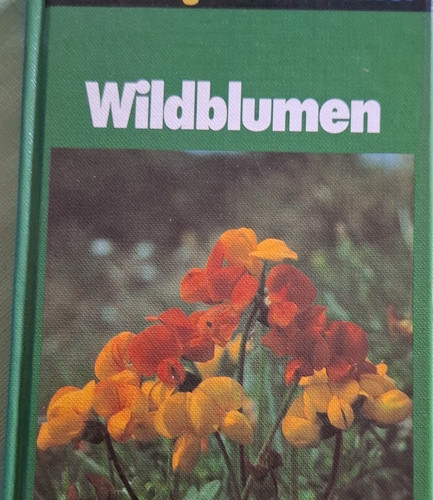 Wildblumen buch gebundene - wildblumen,