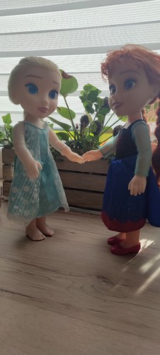 Anna und elsa - puppenset,