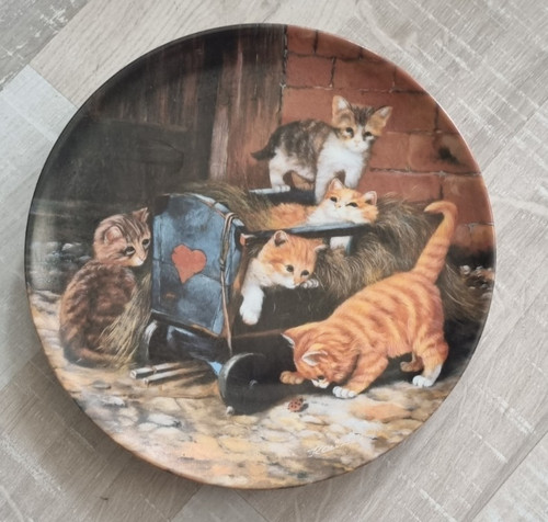 Sammelteller die - sammelteller,