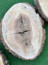 Baumscheibe bergahorn 34cm