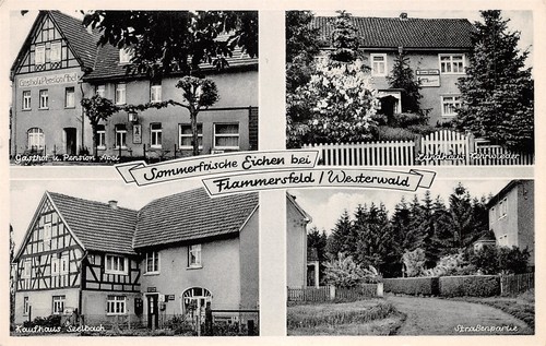 401823 mehrbildkarte eichen - 401823),