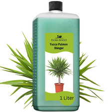Yucca Palmen Dünger von Flora Boost 1 Liter