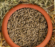 deuka deukanin energie 10 kg