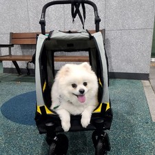 Haustier Buggy Hundebuggy