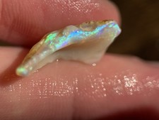 Coober Pedy fossile Opal