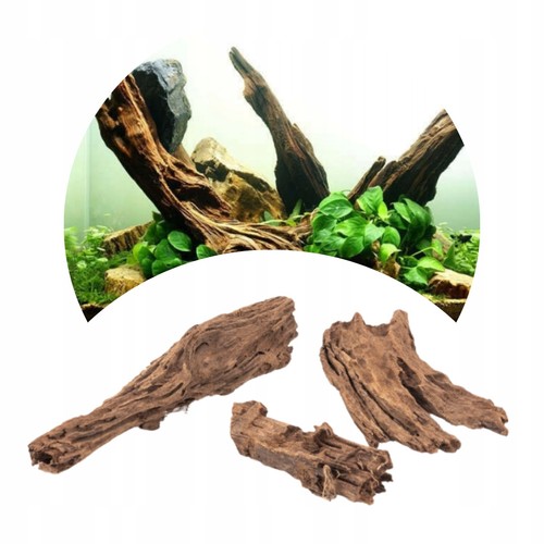 Wurzel für aquarium driftwood - aquarium,