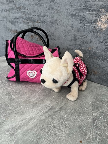 Chi love - chi, hund