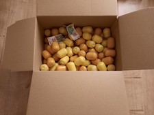 Ü-Ei Puzzle Konvolut Sammlung