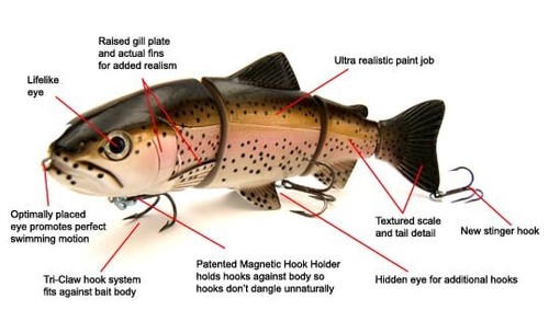 Castaic rock hard - rock, swimbait