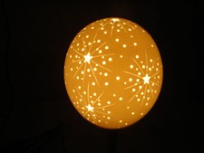 Straußenei Lampe Lampenschirm
