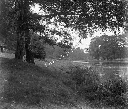 River bank antikes glasnegativ - bank,