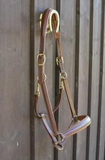 Otto Schumacher Stallhalfter