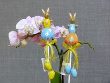 Osterstecker SCHULTE Oster