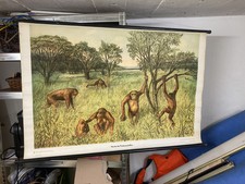 Alte Lehrtafel Horde der