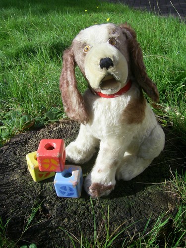 Steiff cockie cocker spaniel - cockie,