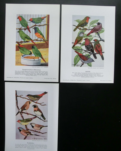 Original kunstbeilagen der - kunstbeilagen,