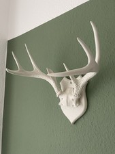 Wanddeko Deko Hirschgeweih Hirschkopf Geweih echt natur weiß