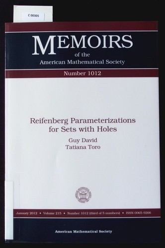 Reifenberg parameterizations