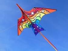 Lagerräumung: Drachen