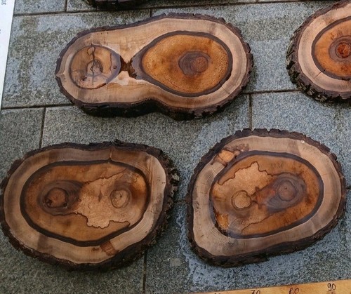 Gestockte nussbaum - xl,