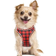 Hundegeschirr für kleine