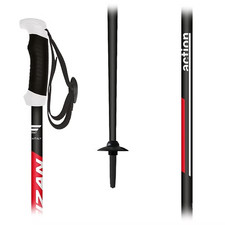 1 Paar Alpin Skistock Fizan ACTION Pro rot  Längen 115/120/125 cm