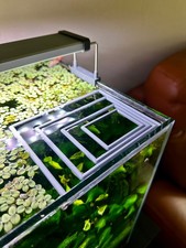 Schwimmender Aquarienring in Rechteckform | Pflanzen- & Futterring fürs Aquarium