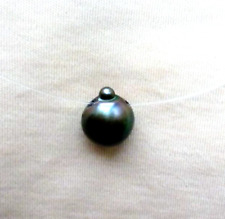 WOW ! Echte Tahiti Zucht