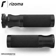 Sportgriffe Ducati Monster 696