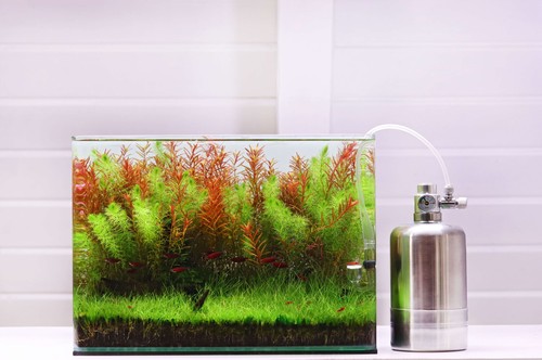Natureholic co2 generator - co2,